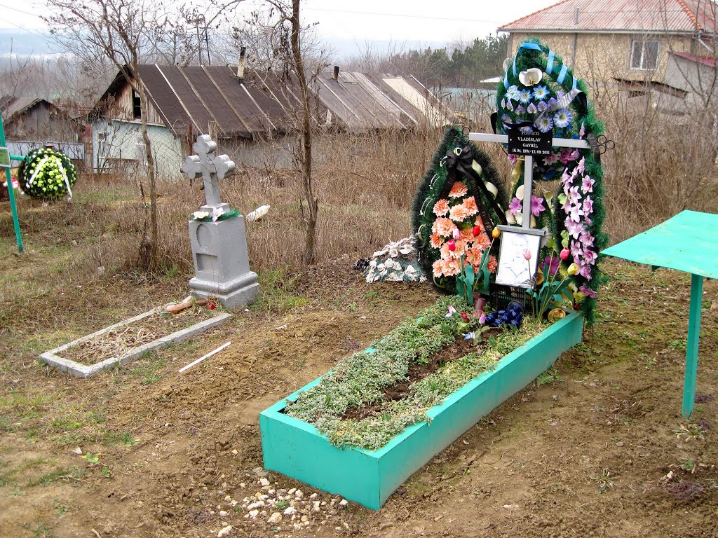 Riscani, Chisinau, Moldova by Alexander Murvanidze