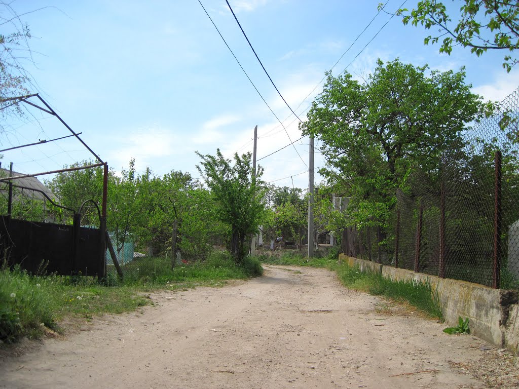 Cricova, Moldova by Alexander Murvanidze