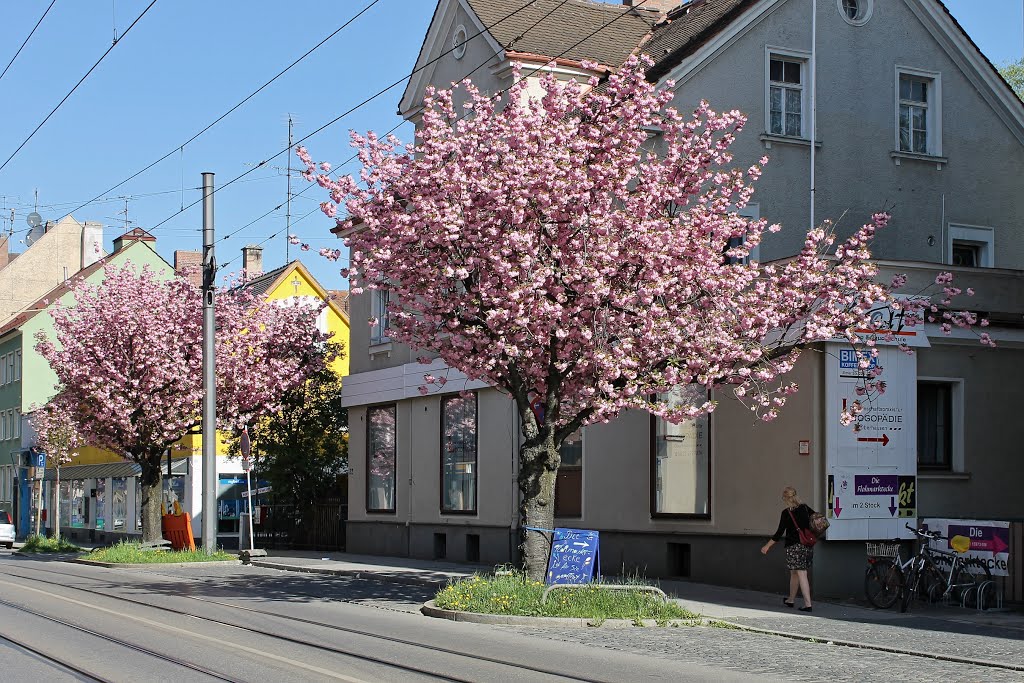 Frühling in der Ulmer Straße by df3vi