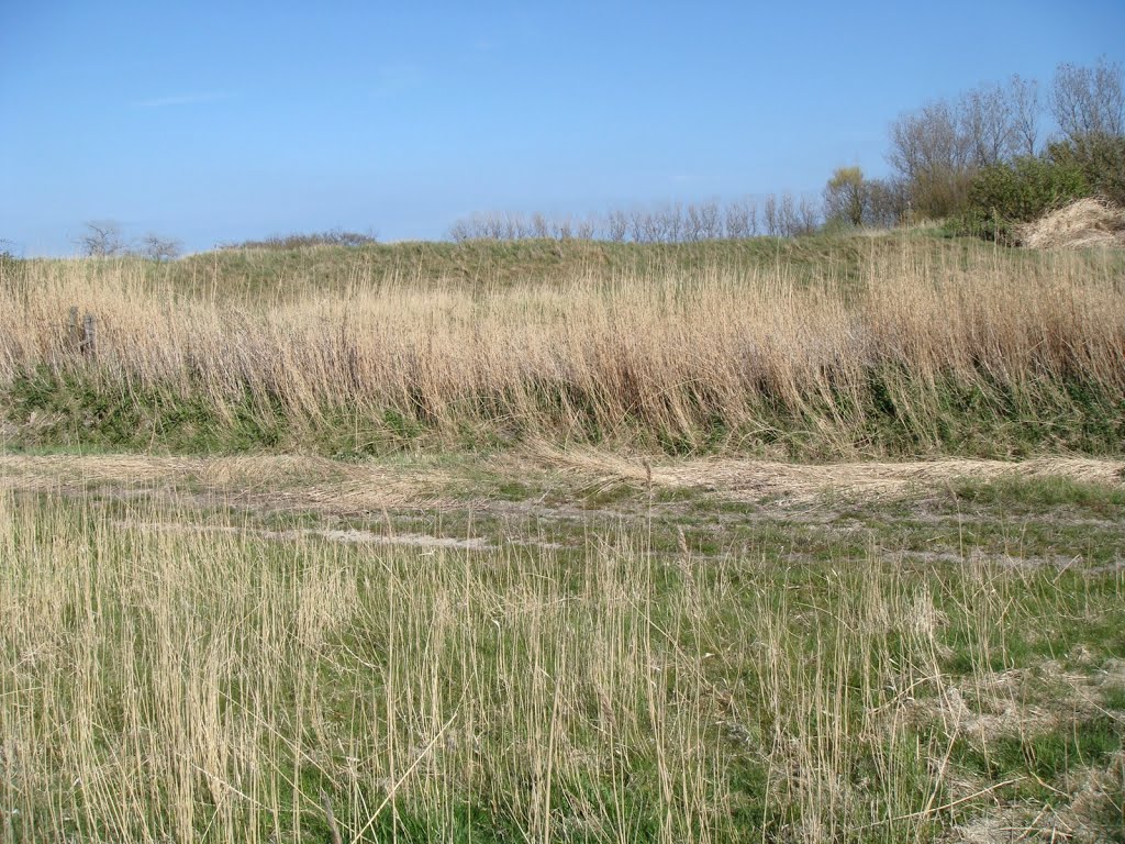 Texel - Molwerk - Liberation Day 5 May 2013 - View East by txllxt TxllxT