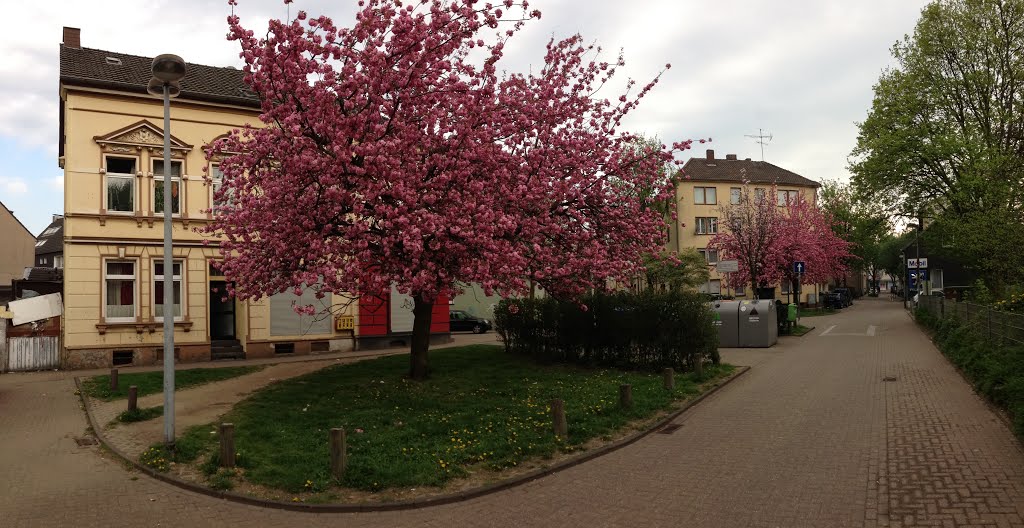 Mülheim an der Ruhr, Deutschland by Piter Wilde