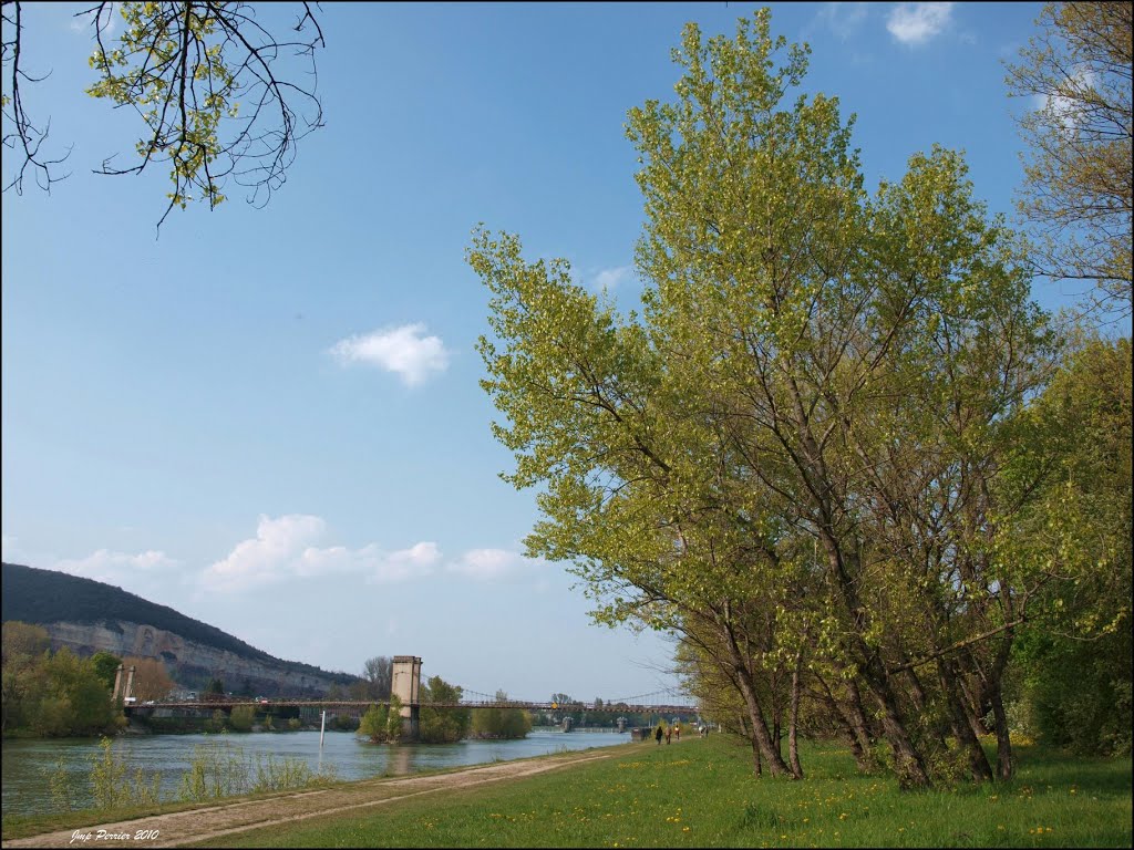 Les bords de Saône avant le saccage bétonné. by Patrick (JM) Perrier