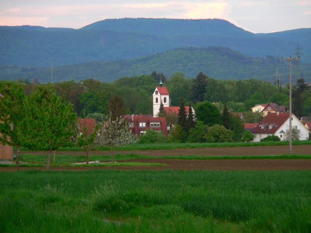 Blick auf Mähringer Dorfkirche am Abend by heikay