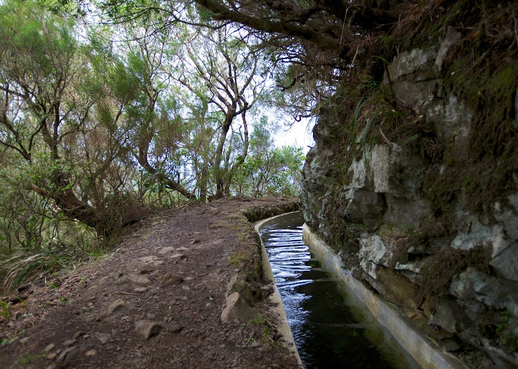 Levada do Furado trail / Madeira by Sergey Ashmarin