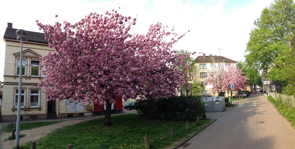 Mülheim an der Ruhr, Deutschland by Piter Wilde