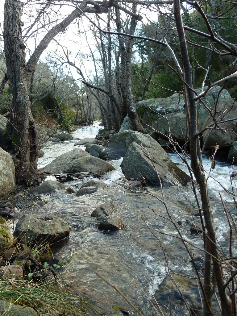 Río de la Miel. Cauce río abajo. by Olegario Castillo