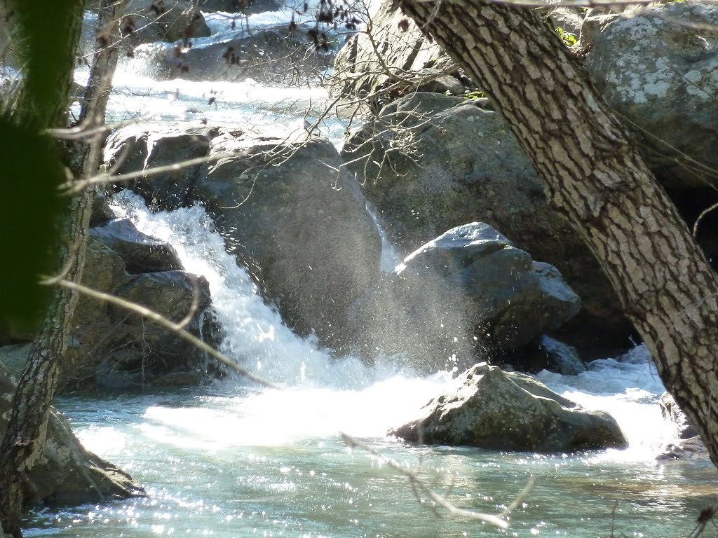 Río de la Miel. by Olegario Castillo