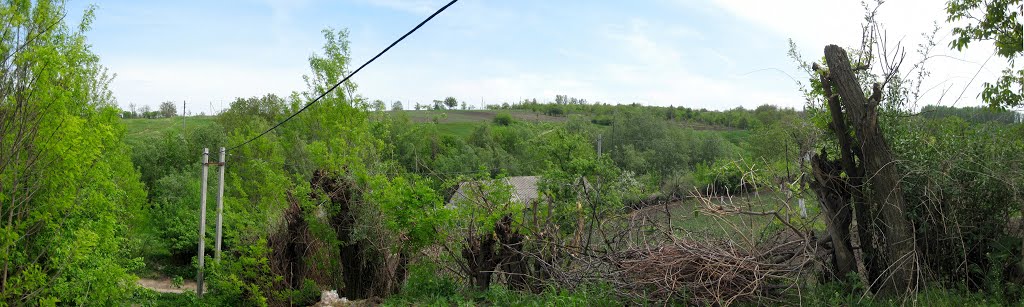 Cricova, Moldova by Alexander Murvanidze