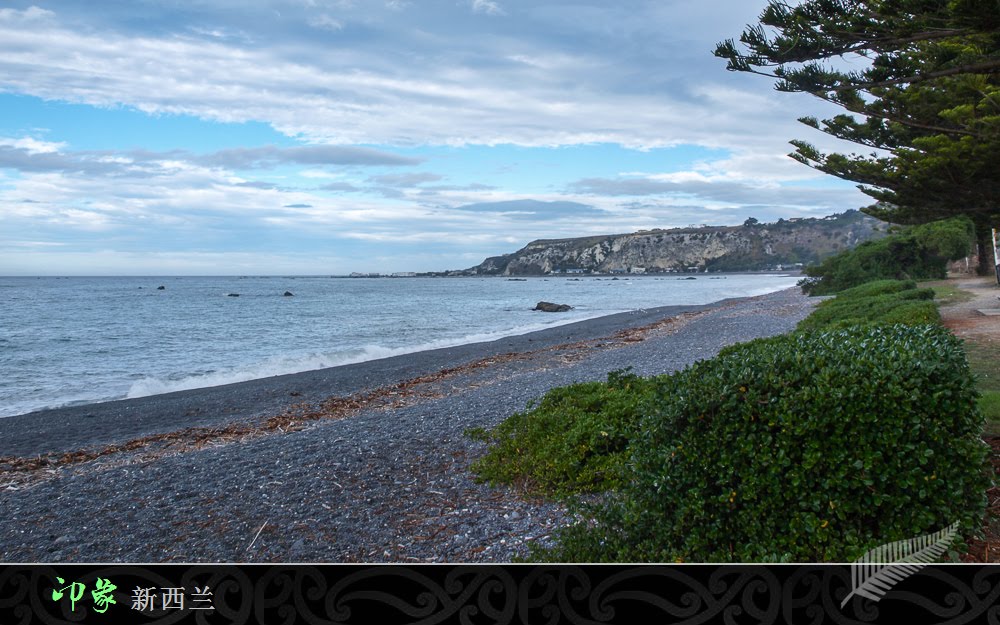 Kaikoura Central, Canterbury, New Zealand by Gary Gao