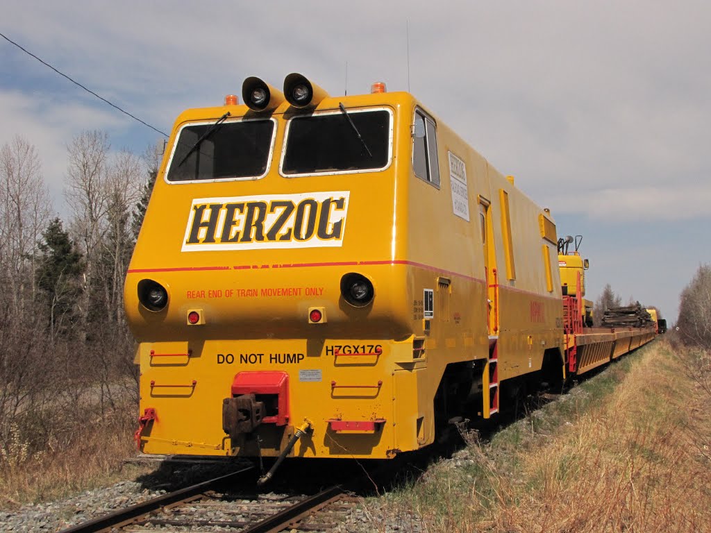 Herzog Train by fervidGOOBY