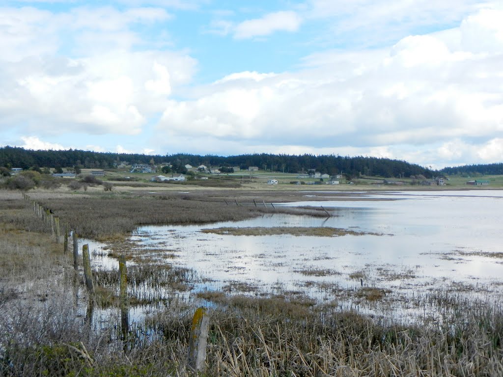 Swan Lake, West Beach Rd, Oak Harbor, Whidbey Island, WA by Midnight Rider