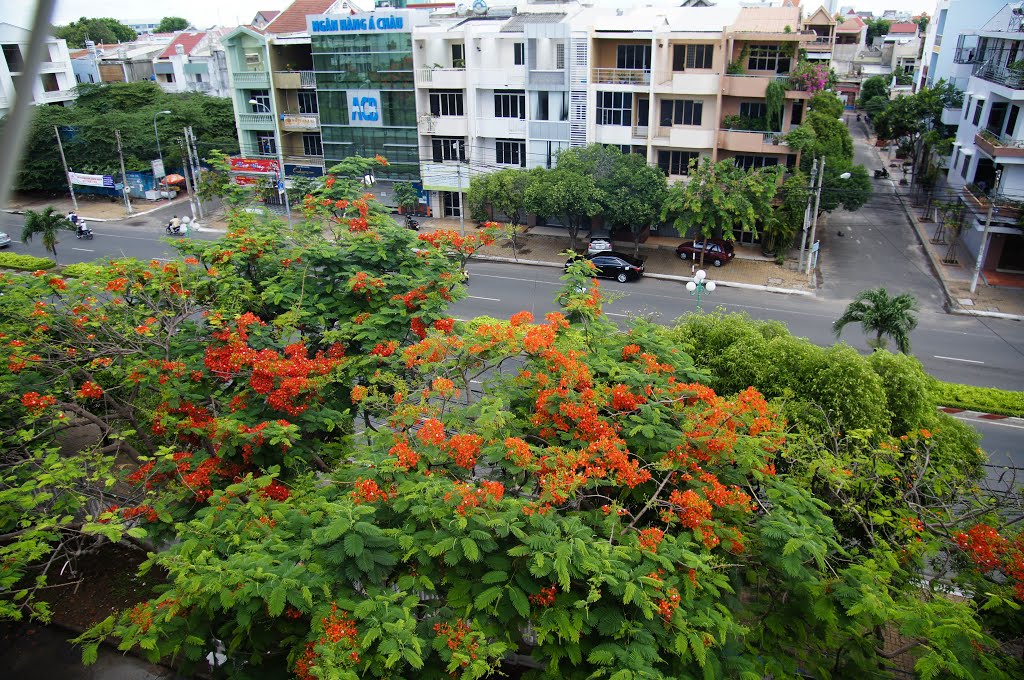 Đường Nguyễn An Ninh by Hoang Viet Quan