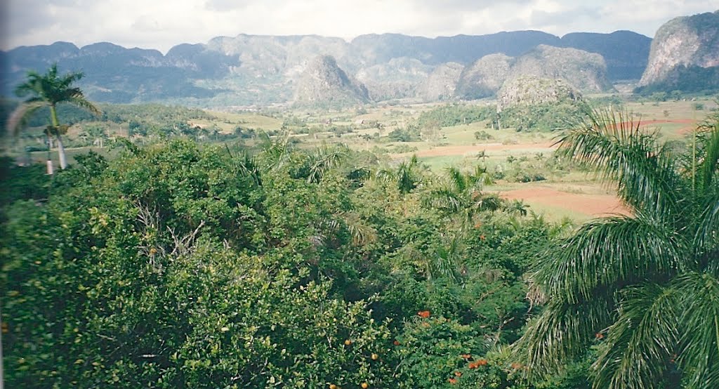 Zona de Viñales.Provincia de Pinar del Río. Cuba. by María Fernando