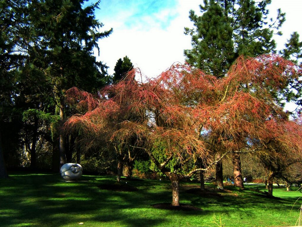 Vandusen sculpture2 by chentian99