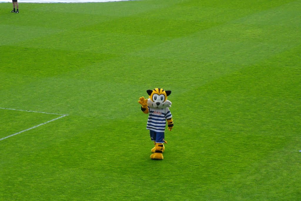 QPR mascot before 0-1 defeat by Arsenal on 4 May 2013 by dimitris kountis