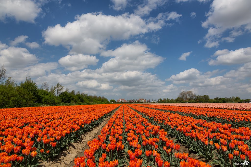 Verbindingsdijk, Nieuwe-Tonge by © BraCom (Bram)