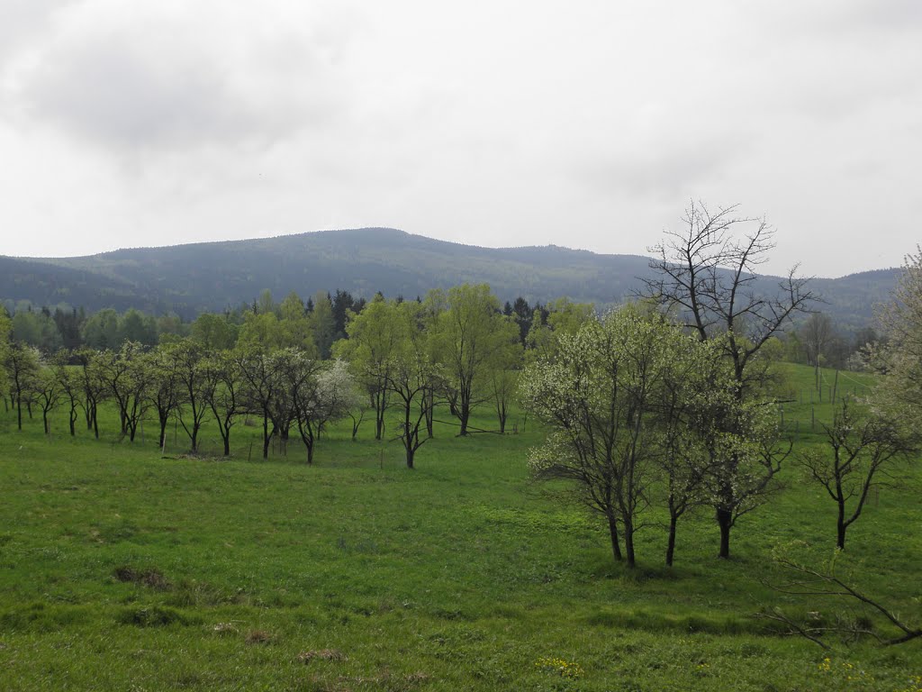 Skalnik ze Strużnicy by Dodge