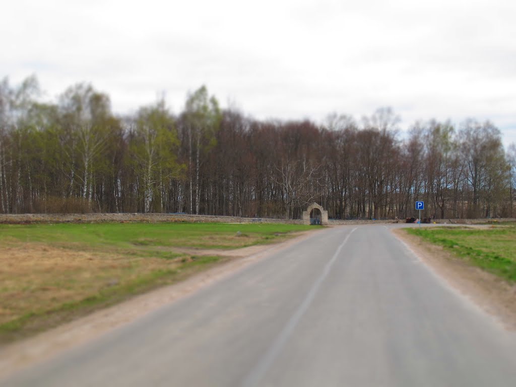 Izborsk, Pskov Oblast, Russia, 181518 by Tixon Rusakov