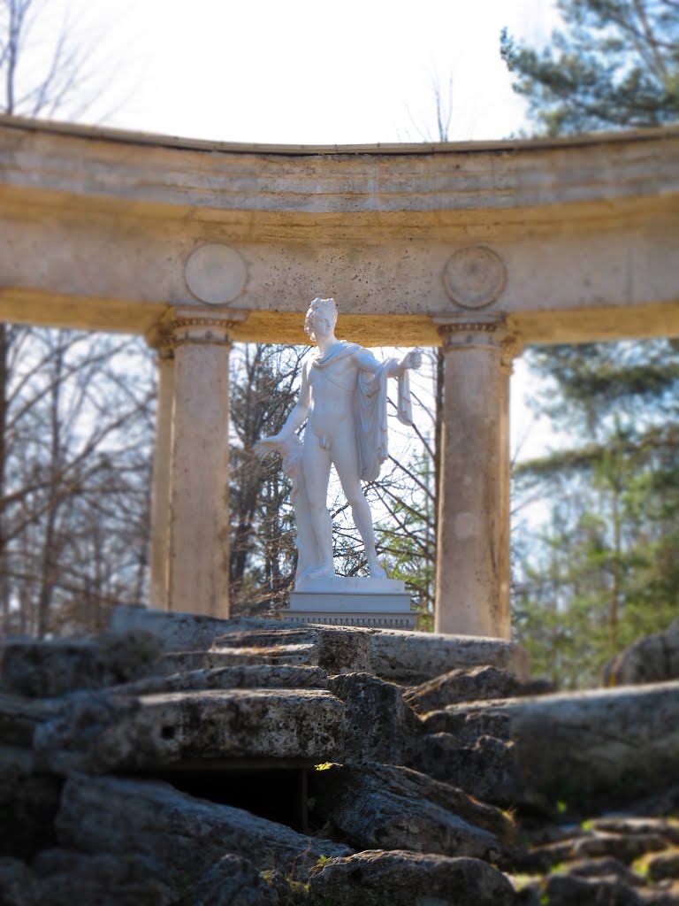 Pavlovsk, Saint Petersburg, Russia by Tixon Rusakov