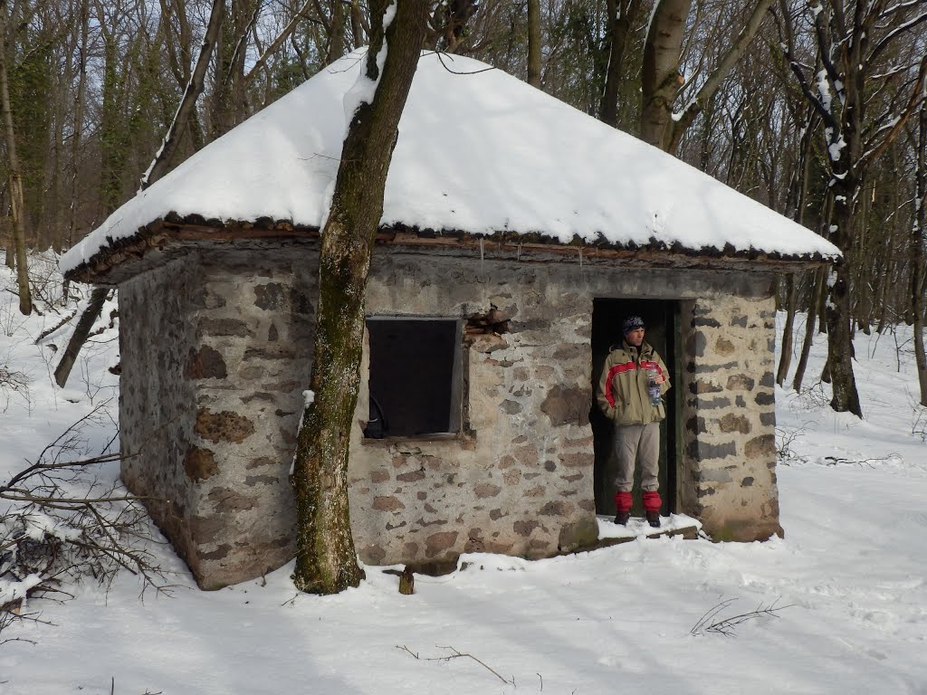 Badacsonytomaj, Hungary by szabolcs.gazsi