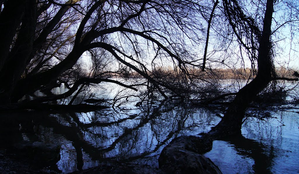 Érd, Hungary by Vremir Marton