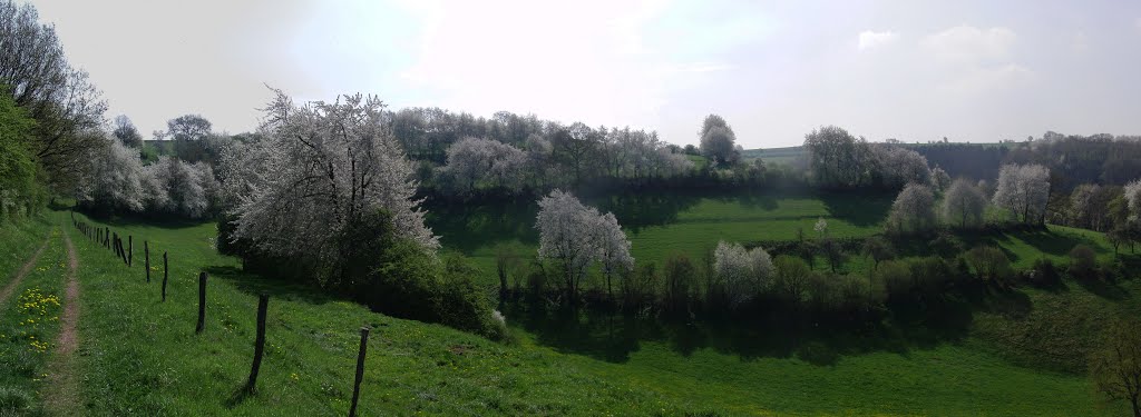 2013 - Spring in the Eifel, Germany by Rein56