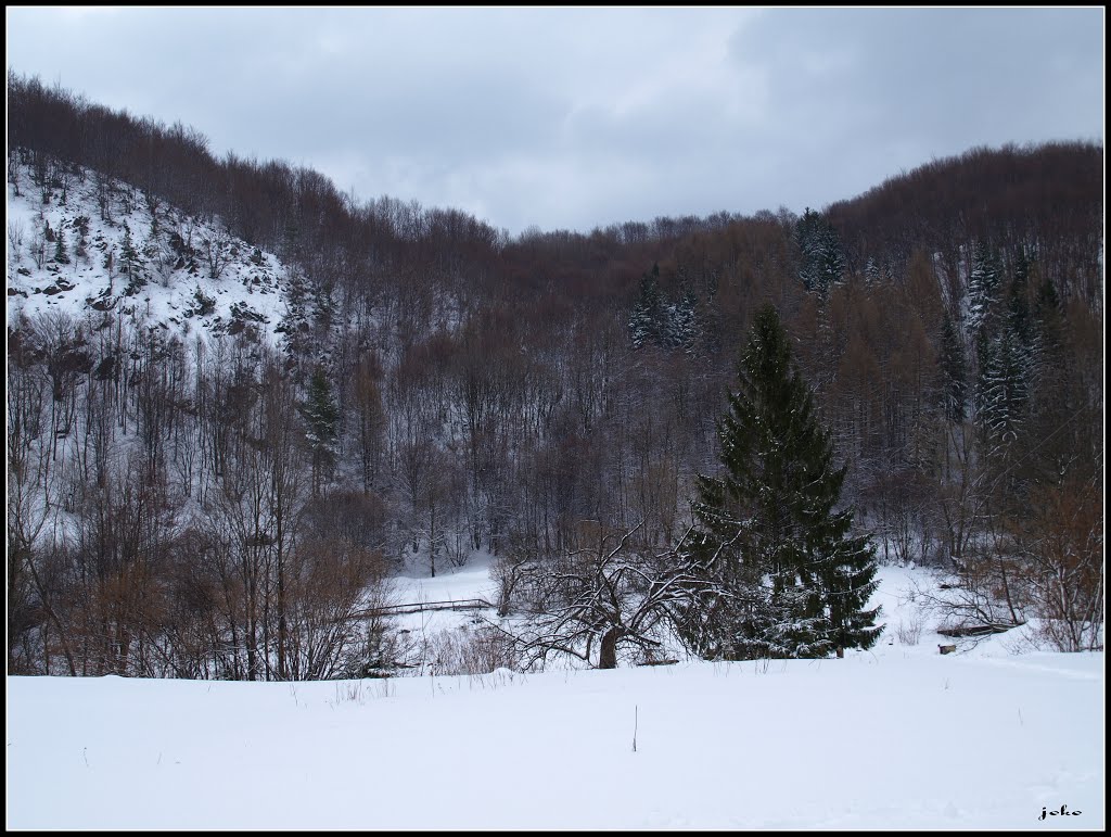 NAD OBCOU PODHRADIE by < JOKO >