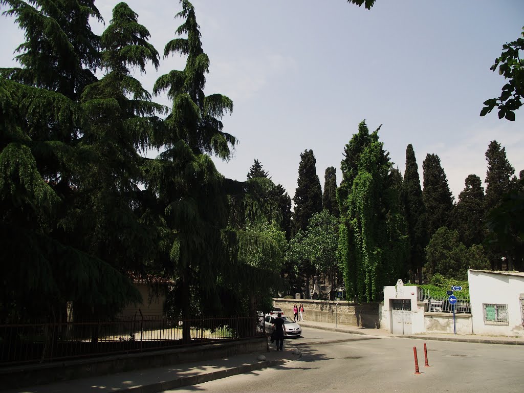 Kadıköy, Hasanpaşa, Musevi Mezarlığı 3 by Kasım OKTAY