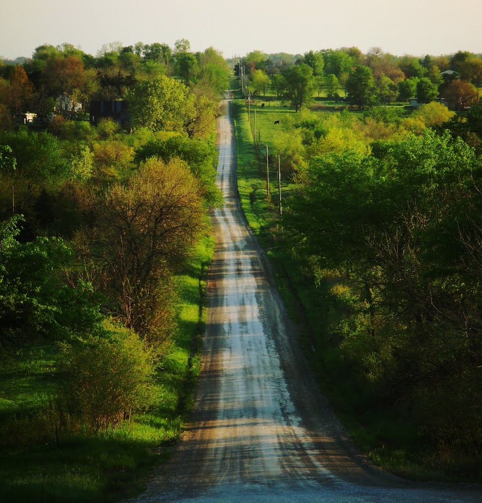 Country Lane (North side of "Pork Chop Hill") by Juan Brown