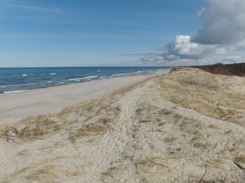 Ostseestrand auf der Kurischen Nehrung by Andreas66894