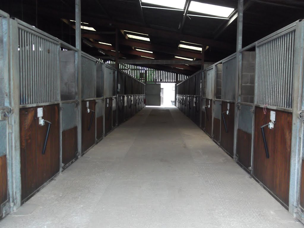 Hartpury college "B" equine Barn by Dakota&cloudyboy