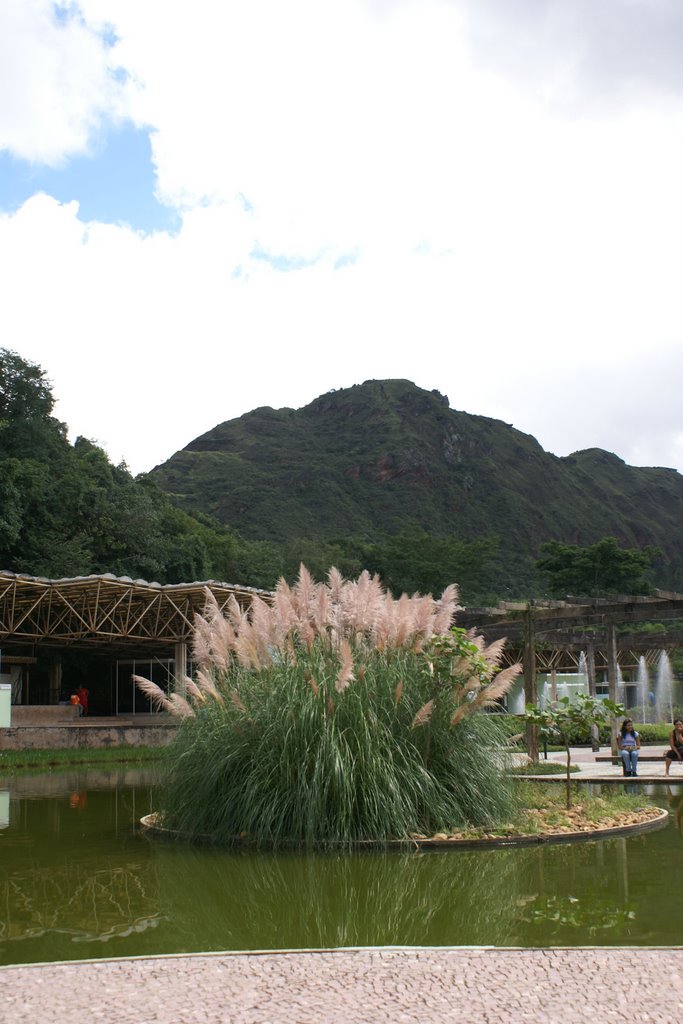 Parque das Mangabeiras - Belo Horizonte by Fernando Bezerra