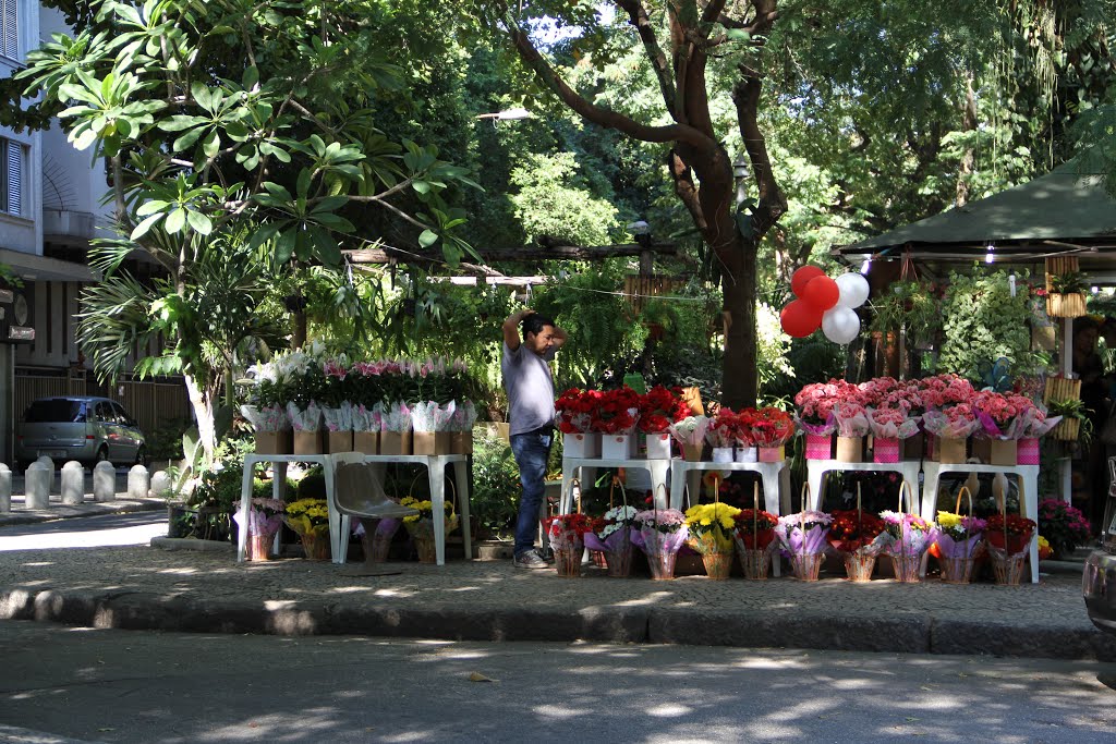 Flowers by Buscácio