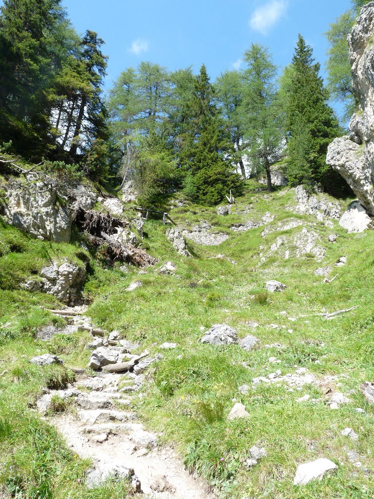 Sentiero verso il rifugio Gardenacia by Lorenzo Colombo