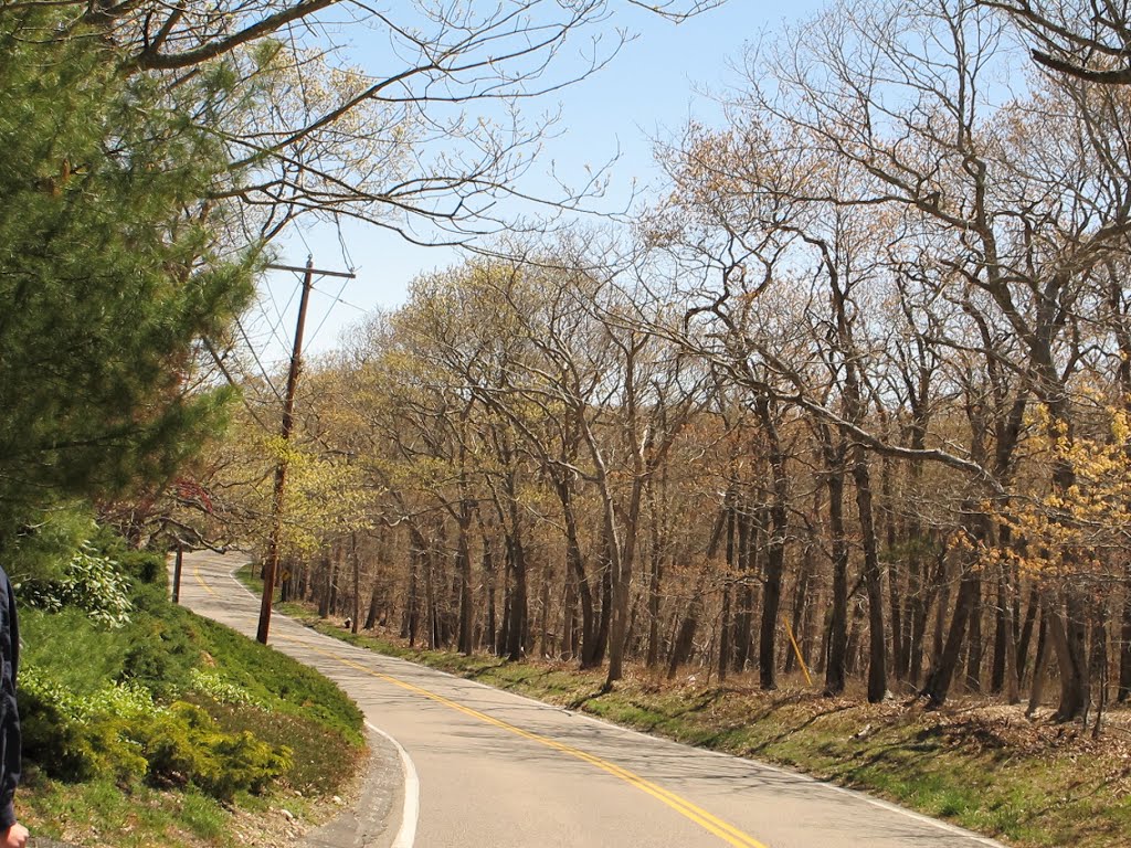 Springy Banks Road in early May by mrskdkins