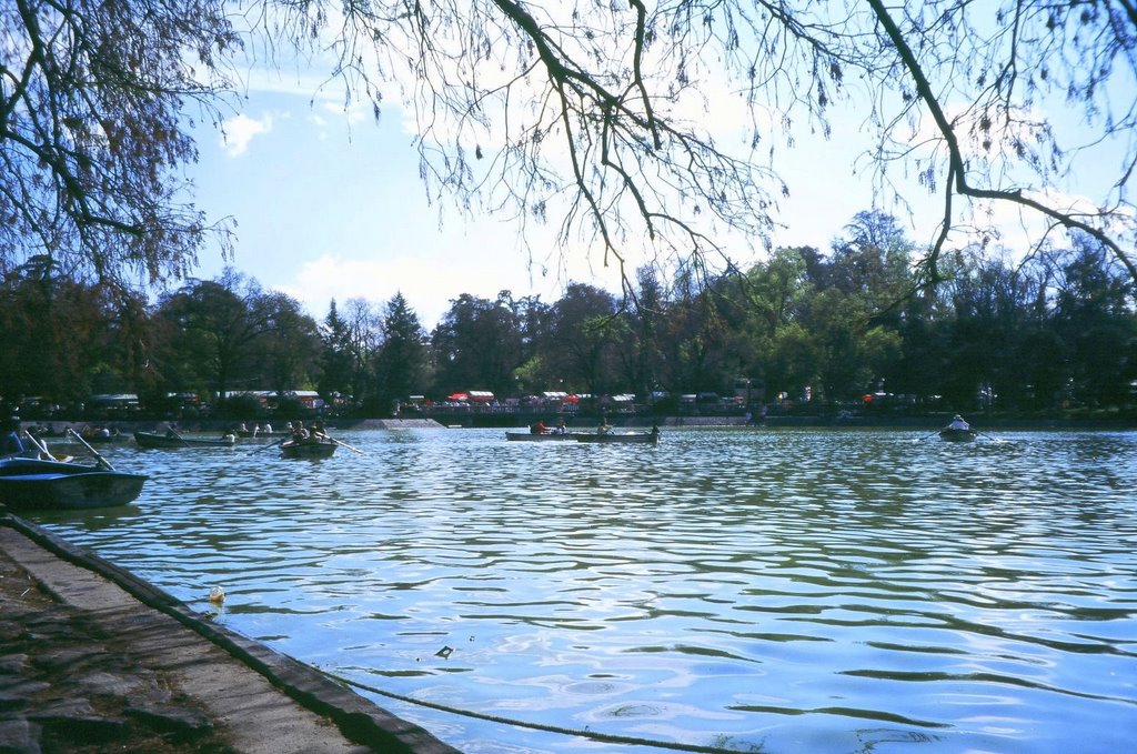 Lago de Chapultepec by Altevir Vechia