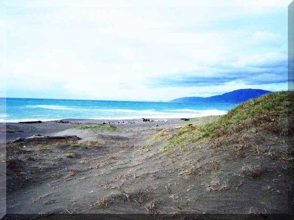 Mattole Beach as the Storn rolls in 02.06.07 by honeyd3475