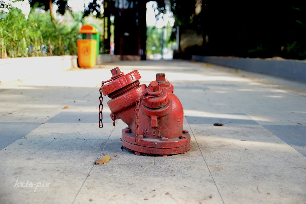 Hydrant in the pedestrian lane, Solo by atmo gandul