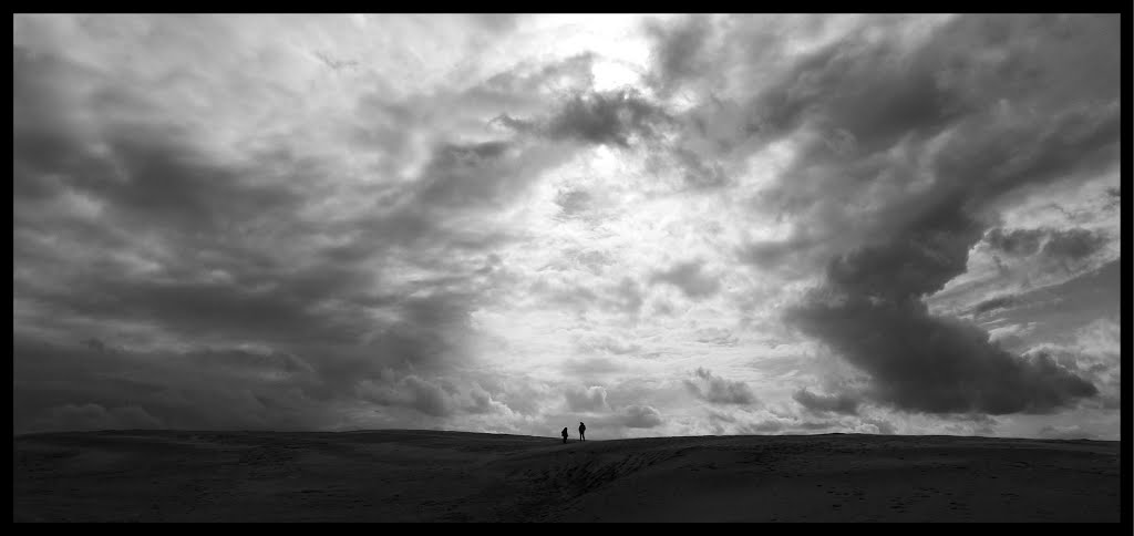 It's a wanderer...Rabjerg Mile, Dänemark - 2012 by Hene's