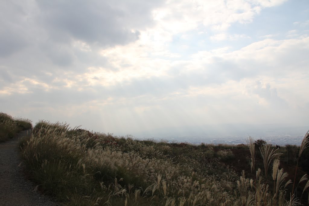 View from Mt. Wakakusa by pavzki