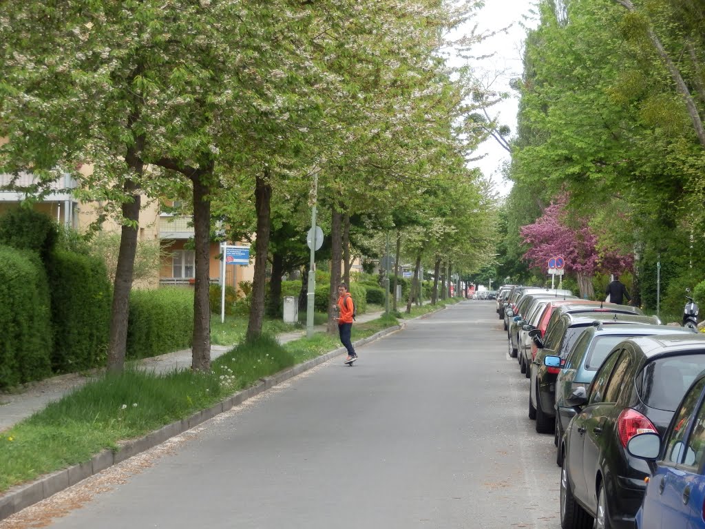 Berlin-Zehlendorf Breitensteinweg by UwCa