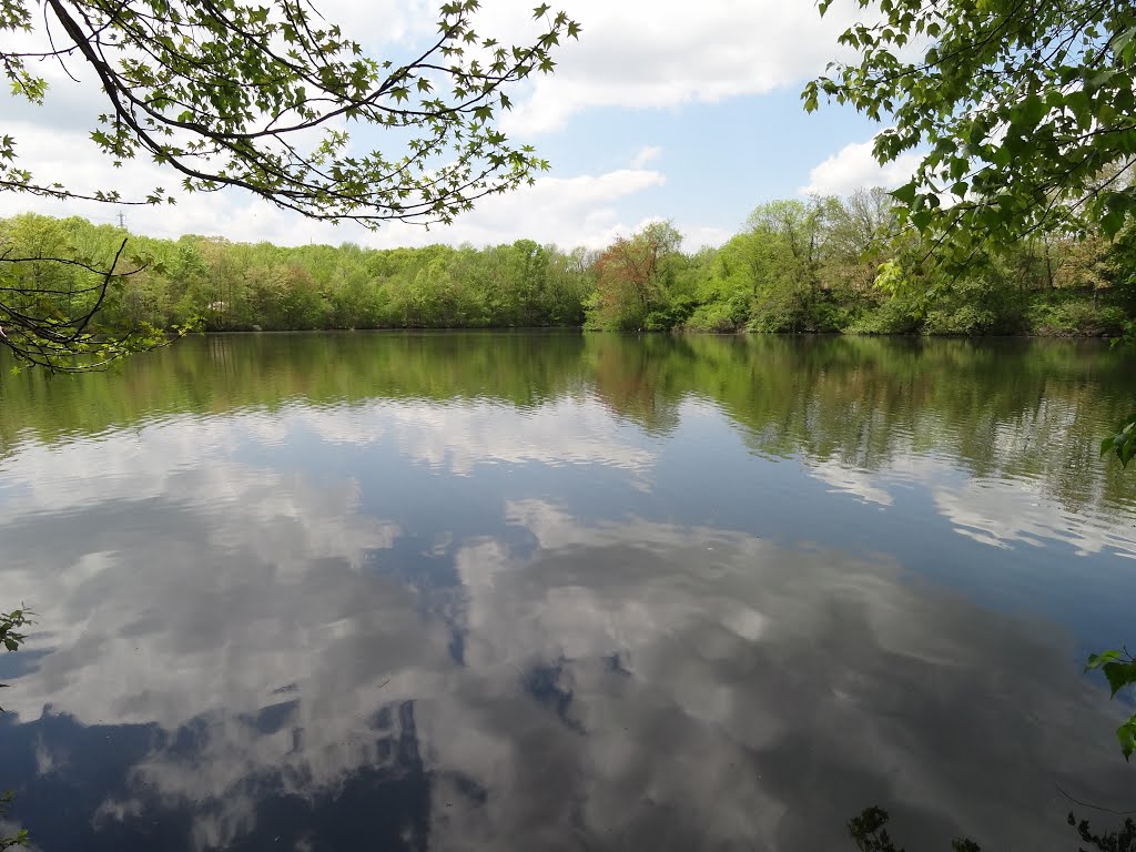 Dunlap Pond by rogerking