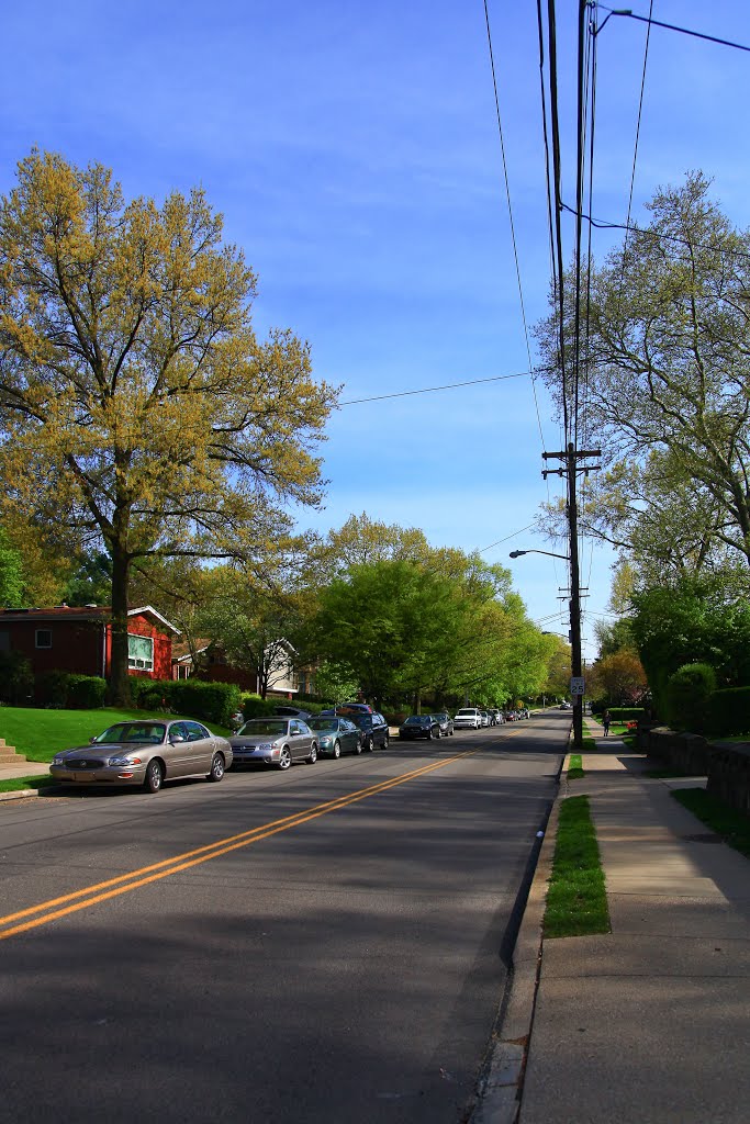 Morewood Avenue by jingchensun