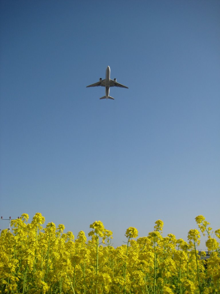 Fukuoka International Airport by kenkaki