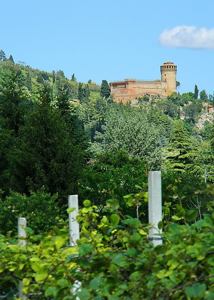 Brisighella: la rocca vista dalla Pieve del THO by antenoremalatesta