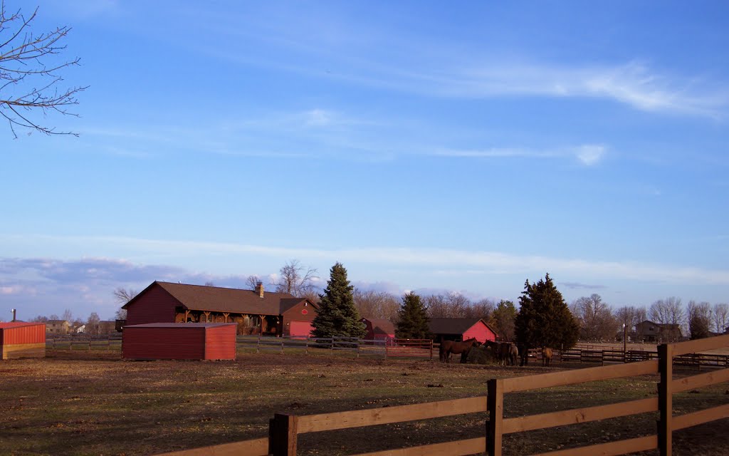 Under a Spring Sky, Andover, Minnesota by © Tom Cooper