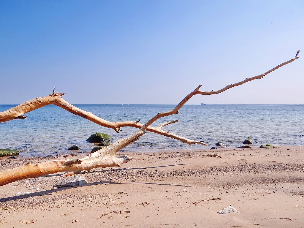 Am Ostseestrand by H. A.