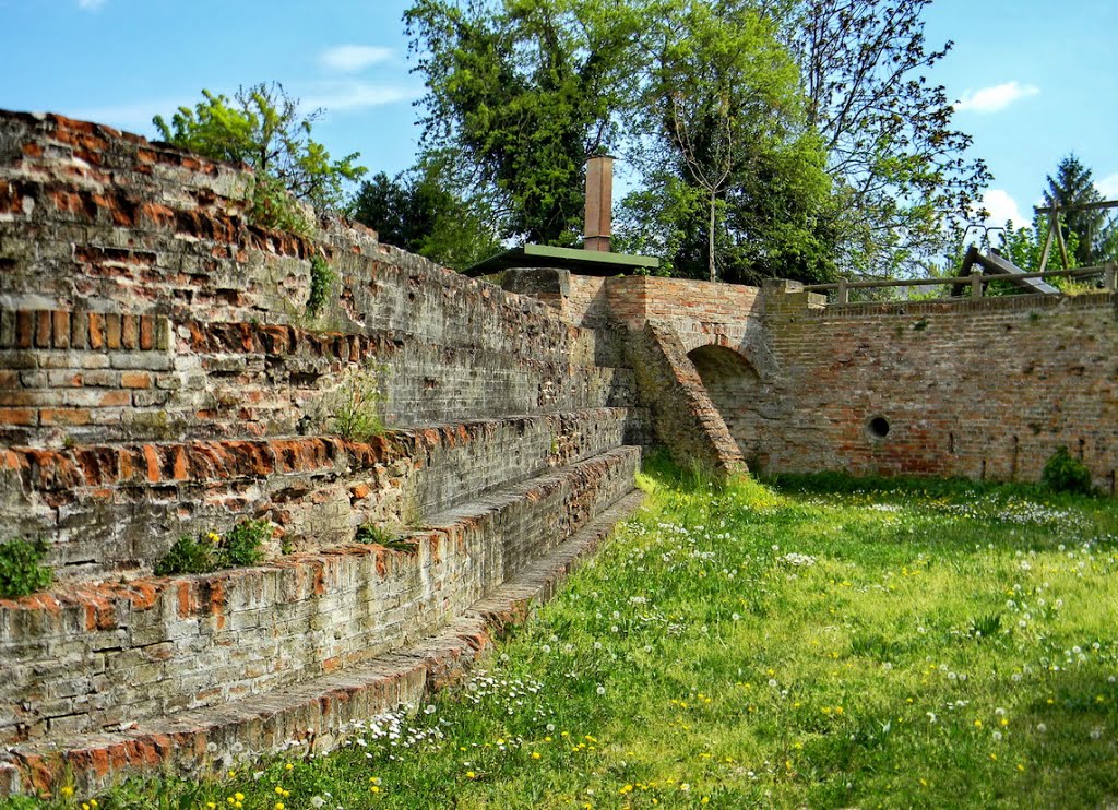 Faenza: ex cartiera. Il canale dell'acqua o bottazzo. by antenoremalatesta