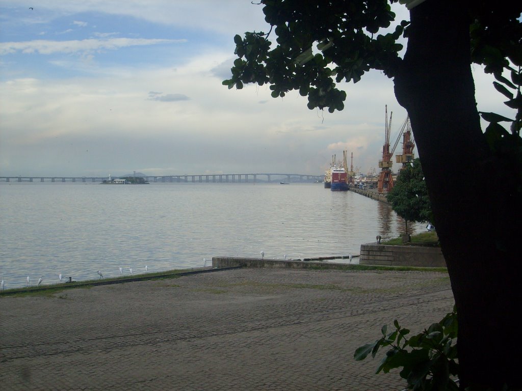 Port of Rio de Janeiro, RJ, near Mangue by lguilhermesb