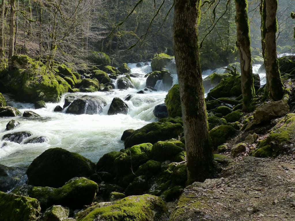 Woodland cascade by Chris French